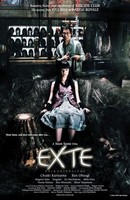 Poster:EXTE: HAIR EXTENSIONS a.ka. Ekusute